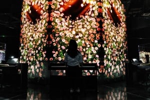 Dubai: inträdesbiljett till Arte Immersive Museum