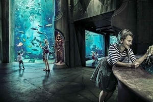 Dubai: Atlantis Aquaventure and Lost Chambers Aquarium Combo