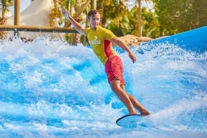 Dubai: Aquaventure World - Waterpark en Aquarium Combo