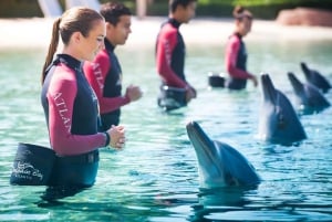 Dubai: Aquaventure World - Waterpark en Aquarium Combo