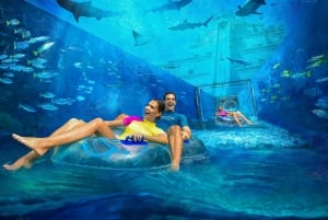 Dubai: Atlantis Aquaventure & Lost Chambers Aquarium Combo