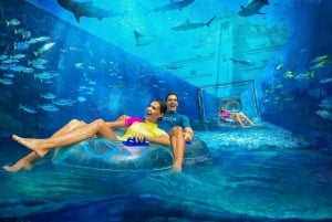 Dubai: Adgangsbillet til vandlandet Atlantis Aquaventure