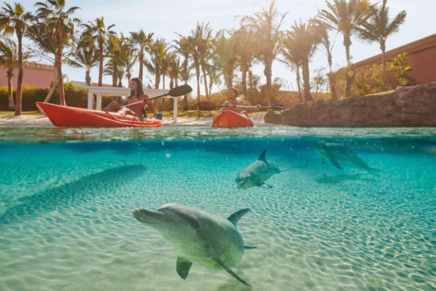 Dubaï : Excursion en kayak avec les dauphins d'Atlantis et parc aquatique Aquaventure