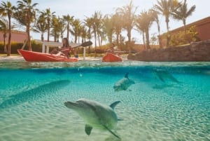 Dubai: Atlantis Dolphin Kayak Trip & Aquaventure Waterpark