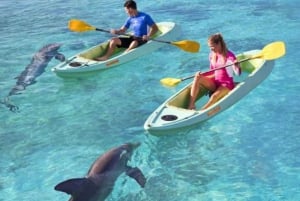 Dubai: Atlantis Dolphin Kayak Trip & Aquaventure Waterpark