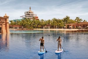 Dubai: Atlantis Dolphin Paddle with Aquaventure Park