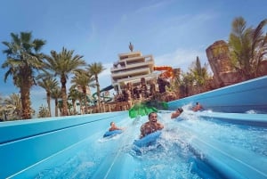 Dubai: Atlantis Dolphin Paddle with Aquaventure Park