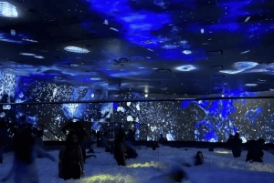 Dubai: AYA Universe + transfer