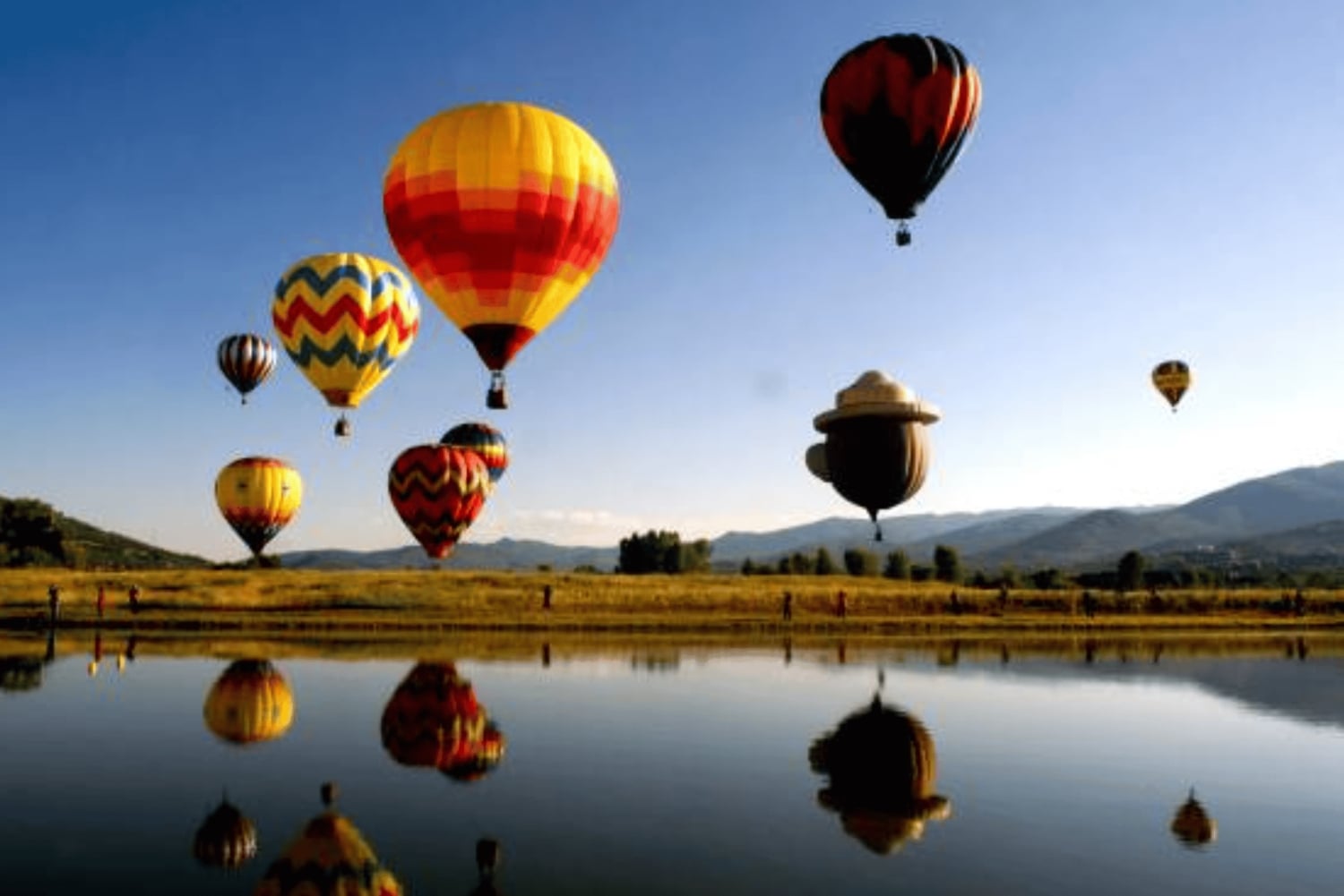 Dubai: Giro in mongolfiera e tour in autobus delle meraviglie, tour del cielo, del mare e della terra