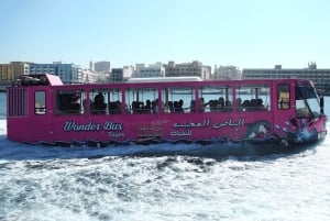 Dubai: Giro in mongolfiera e tour in autobus delle meraviglie, tour del cielo, del mare e della terra