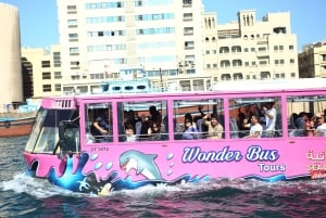 Dubai: Giro in mongolfiera e tour in autobus delle meraviglie, tour del cielo, del mare e della terra