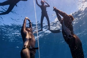 Dubai: Basic Freediving Course