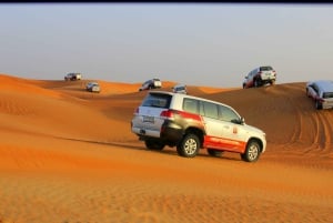 Dubai: Campo beduino, safari nelle dune, spettacolo di falchi e cena con barbecue