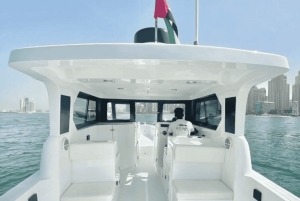 Dubai:Beste visreis-4 uur