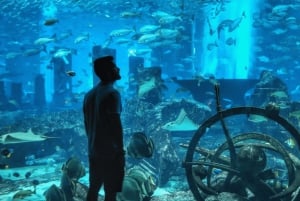 Dubai: Dhow Cruise: Big Bus Hop-On Hop-Off Tour & Dhow Cruise