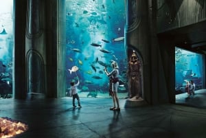 Dubai: Dhow Cruise: Big Bus Hop-On Hop-Off Tour & Dhow Cruise