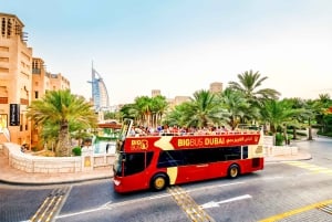 Dubai: Dhow Cruise: Big Bus Hop-On Hop-Off Tour & Dhow Cruise