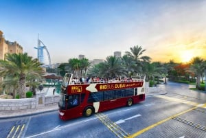 Dubai: Big Bus Panoramic Night Tour & Optional Dinner Cruise