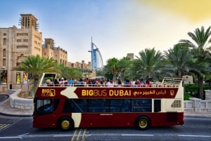 Dubai: Tour panoramico notturno in autobus e tour in battello con cena opzionale