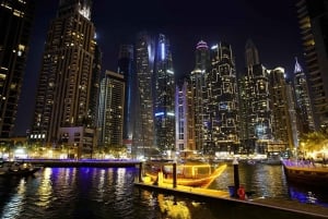 Dubai: Panoramisk nattur med stor bus og valgfri middagsrundfart