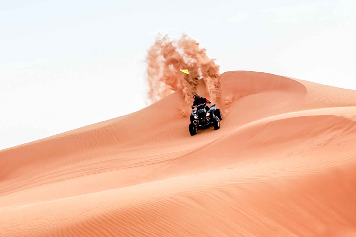 Dubai: Bike the Red Dunes, Camel Rides, Sandboarding and BBQ