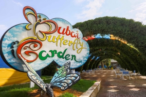 Dubai: Butterfly Garden Admission Ticket