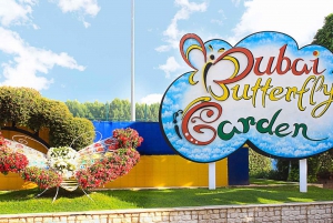 Dubai: Butterfly Garden Admission Ticket