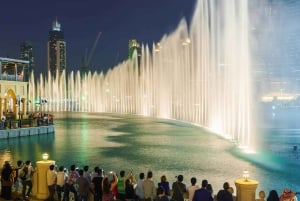 Dubai by Night City Sightseeing Tour from Dubai