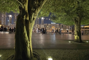 Dubai di notte con biglietto d'ingresso al Burj Khalifa