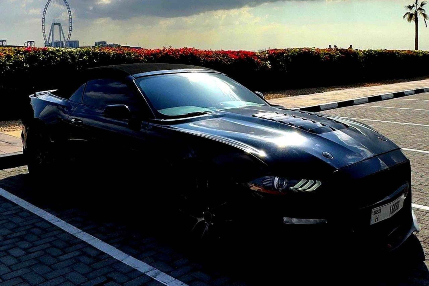 DUBAI: CABRIO MUSTANG TOUR. LUKSUS