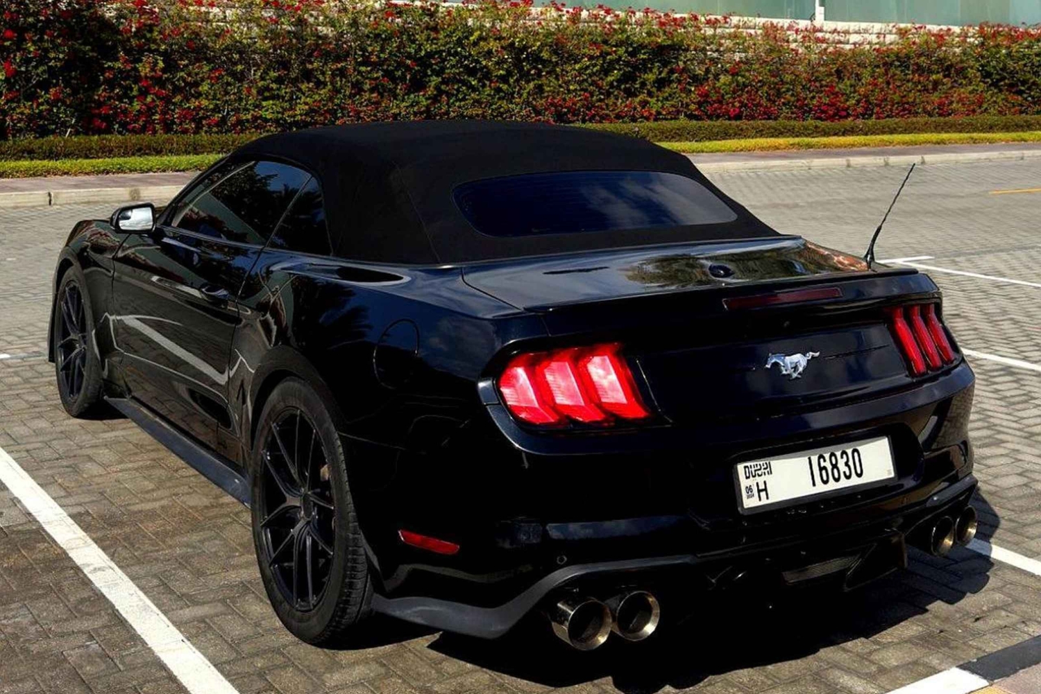 DUBAI: CABRIO MUSTANG TOUR. LUKSUS