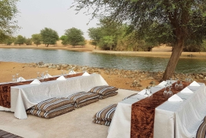 Dubai: Kamelsafari, Wildnis und Frühstück am See