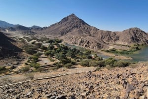 Dubai: challenging hiking guide trip to Wadi Shawka RAK