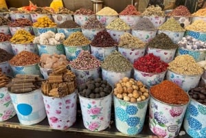 Dubai City: całodniowa prywatna wycieczka