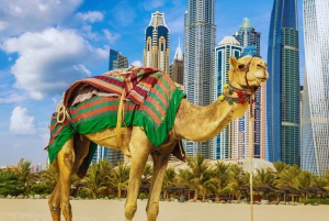 Dubai: Lo más destacado de la ciudad en coche