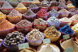 Dubai: Tour privato della città con trasferimento