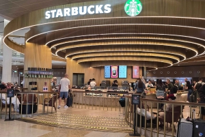 Dubai: Tour privato della città con trasferimento