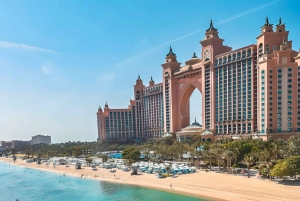 ドバイブルーモスクとストリートフード付きシティハイライトツアー