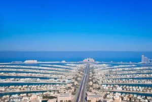 ドバイブルーモスクとストリートフード付きシティハイライトツアー