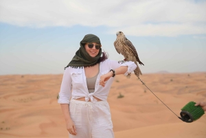 Excursão à cidade do Dubai e Safari no Deserto Combo de dia inteiro