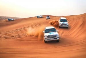 Tour por Dubái y safari por el desierto al atardecer