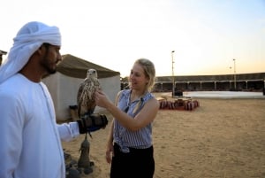 Wycieczka po Dubaju i wieczorne safari po pustyni Combo