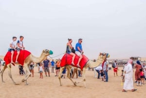 Dubai City Tour+Desert experience with all Activities