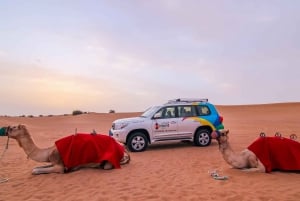 Dubai City Tour+Desert experience with all Activities