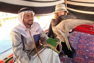 Dubai: tour della città con Creek, souk, Frame e ingresso al Burj Khalifa