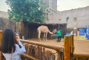 Dubai: tour della città con Creek, souk, Frame e ingresso al Burj Khalifa