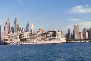 Tour della città di Dubai