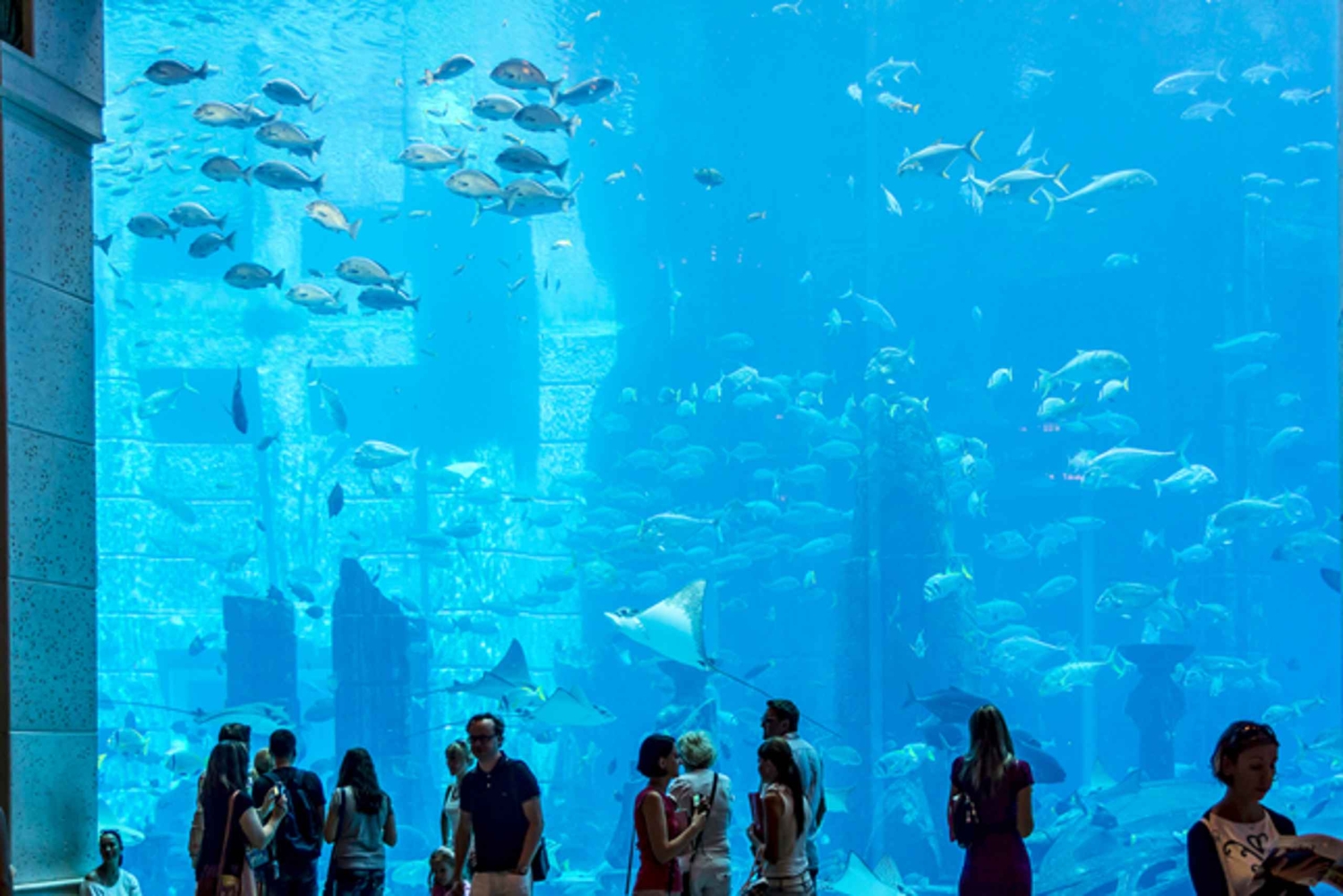 Dubai Combo: Byomvisning om morgenen og ørkensafari om kvelden