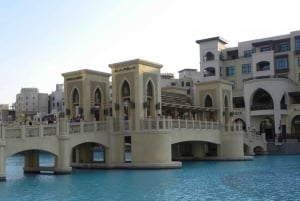 Комбинированный тур: утреннее сафари по пустыне и вечерняя экскурсия по Дубаю