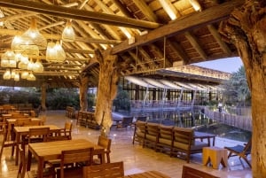 Ingresso para o Dubai Crocodile Park